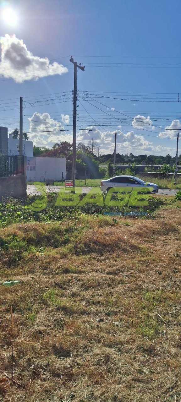 Imagem da propriedade 13141 3