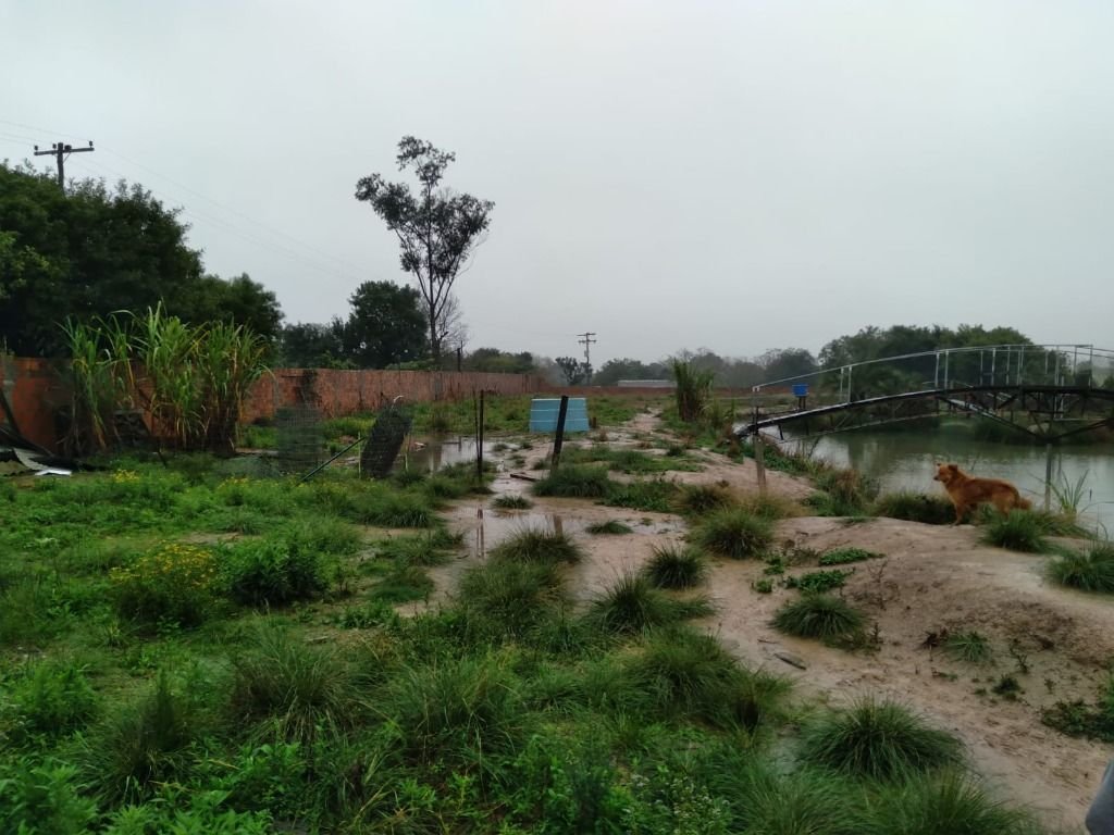 Imagem da propriedade AR0026 12
